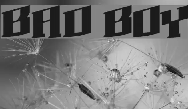 BAD BOY Font examples