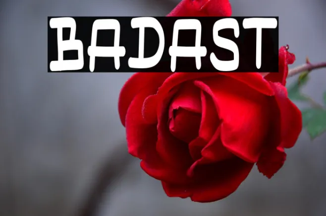 BADAST Example 2