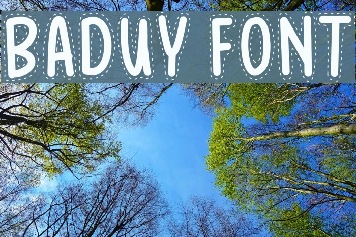 BADUY Font examples