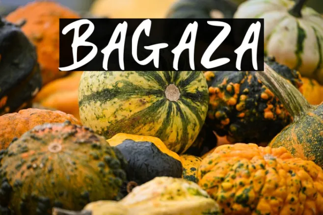 BAGAZA Example 1