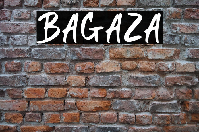 BAGAZA Example 2