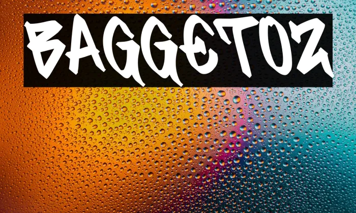 BAGGETOZ Example 1