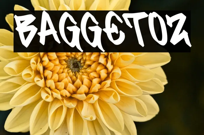 BAGGETOZ Example 2