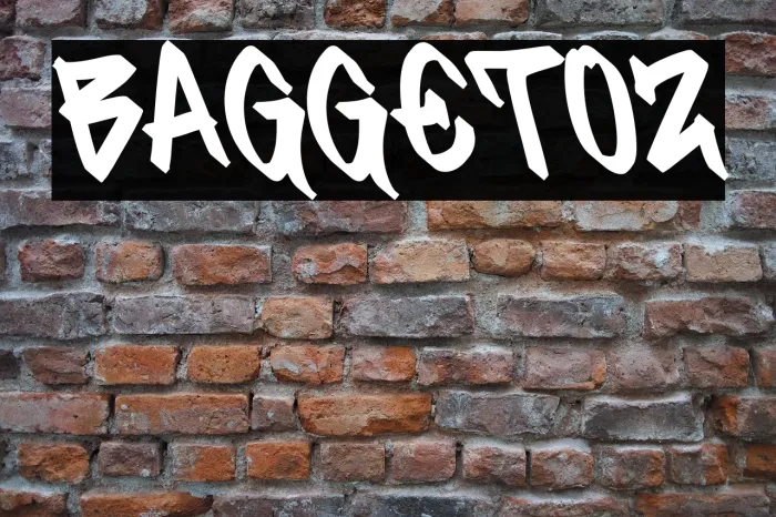 BAGGETOZ Example 3