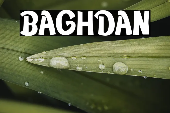 BAGHDAN Example 1