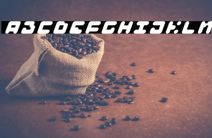 BAJT Rounded Italic Example 1