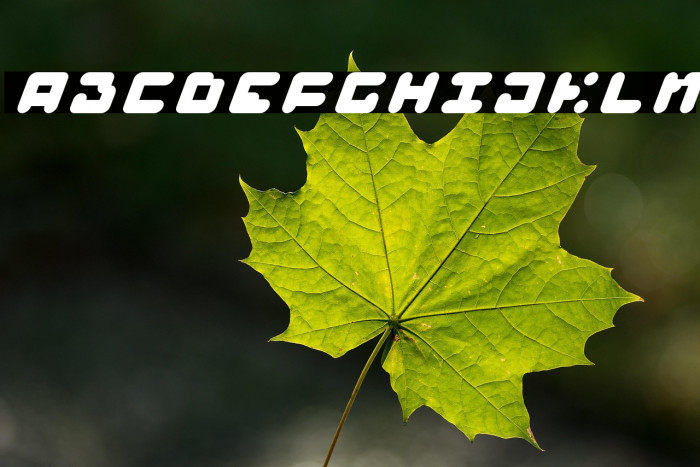 BAJT Rounded Italic Example 2