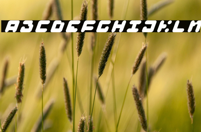 BAJT Rounded Italic Example 3