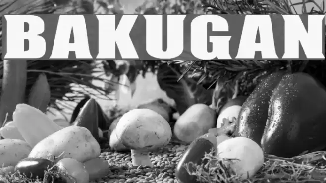 BAKUGAN フォント examples