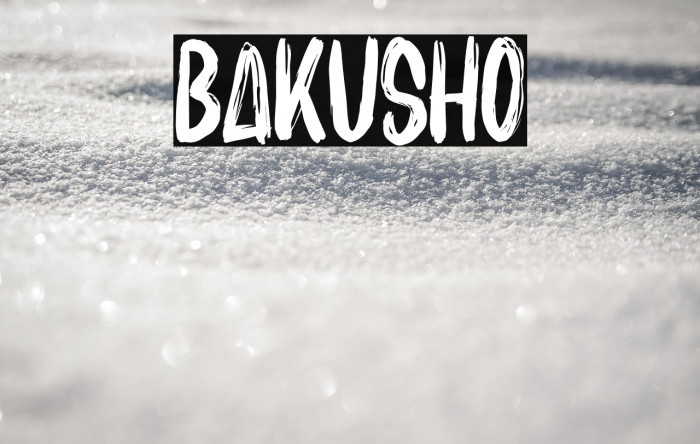 BAKUSHO Example 1