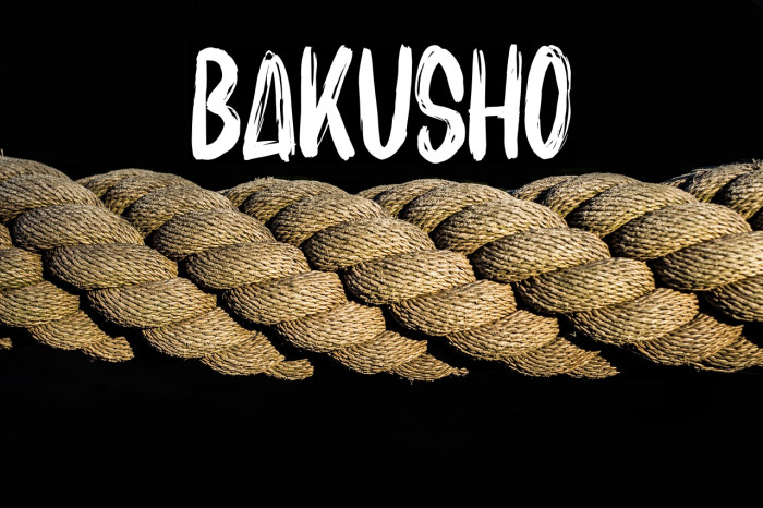 BAKUSHO Example 2