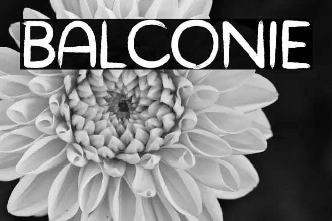 BALCONIE Example 1