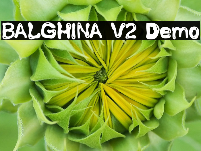 BALGHINA V2 Demo Example 1