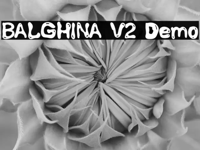 BALGHINA V2 Demo Example 1
