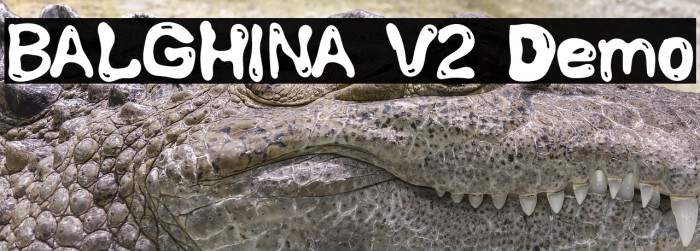 BALGHINA V2 Demo Example 3