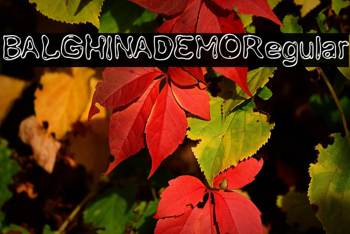 BALGHINADEMO-Regular Example 2