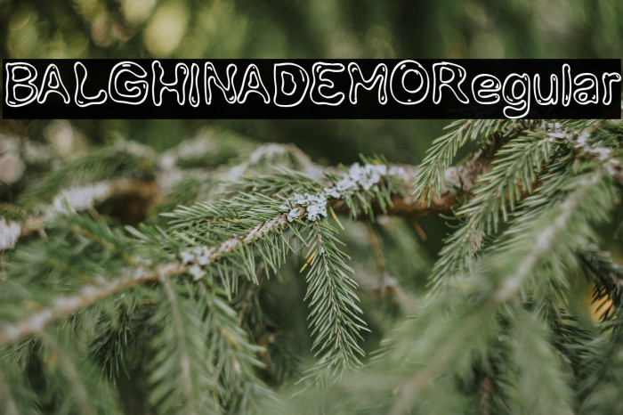 BALGHINADEMO-Regular Example 3