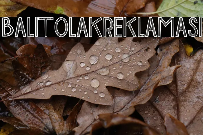 BALI TOLAK REKLAMASI Example 1