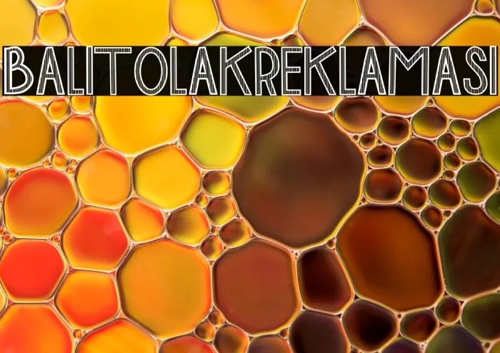 BALI TOLAK REKLAMASI Example 3