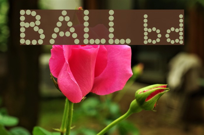 BALL bold Font examples