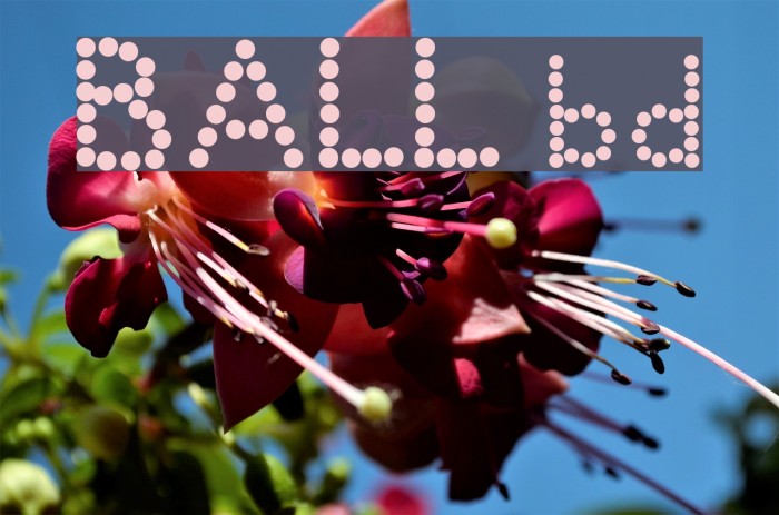 BALL bold Font examples
