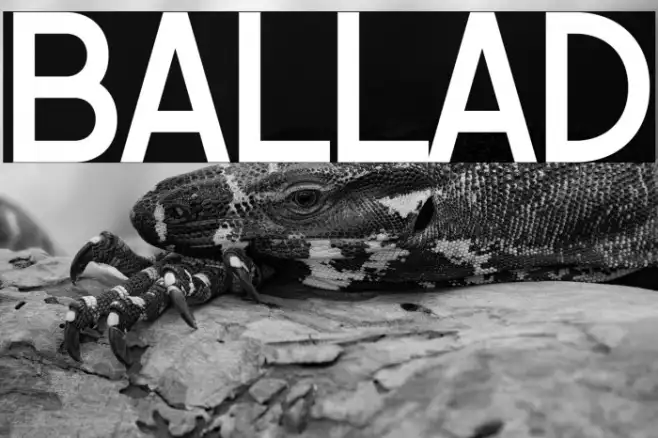BALLAD Example 3