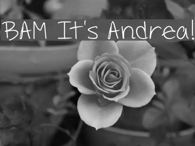 BAM It's Andrea! Example 3