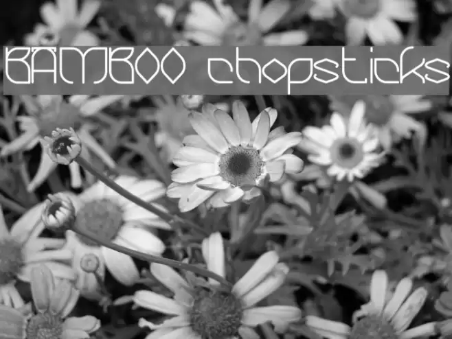 BAMBOO chopsticks Font examples