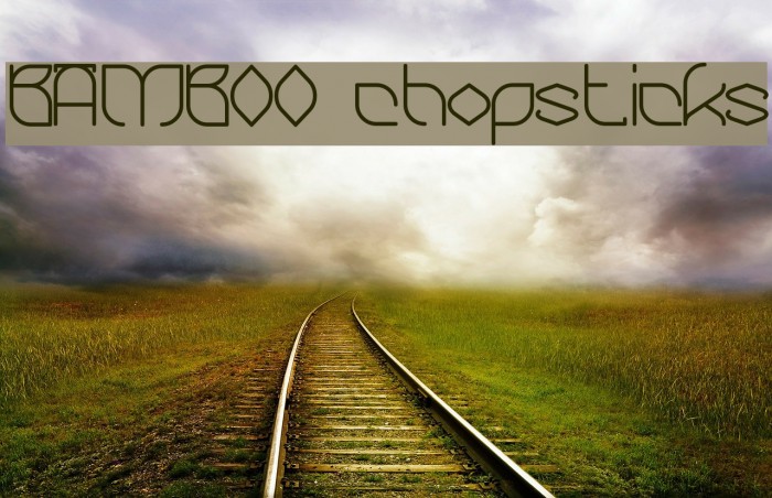 BAMBOO chopsticks Example 1