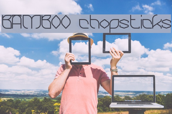 BAMBOO chopsticks Example 3