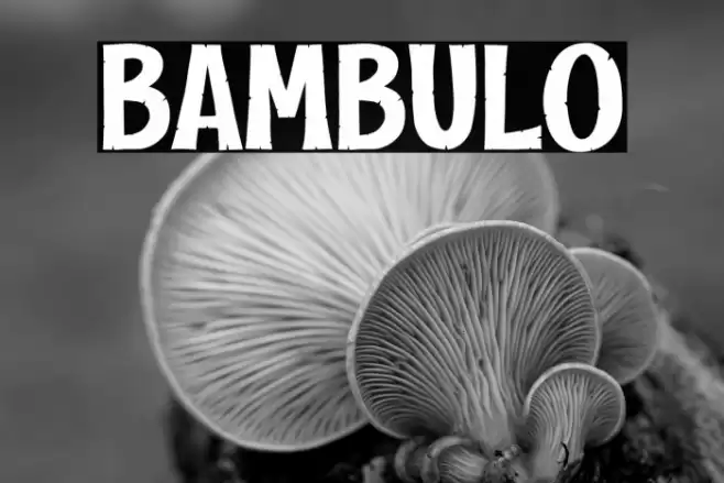 BAMBULO Font examples