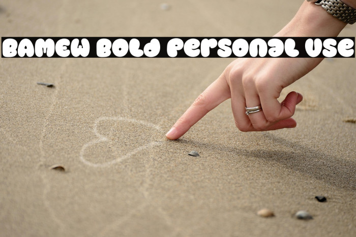 BAMEW Bold Personal Use Example 1