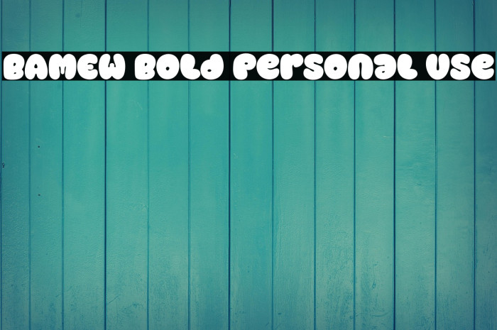 BAMEW Bold Personal Use Example 3