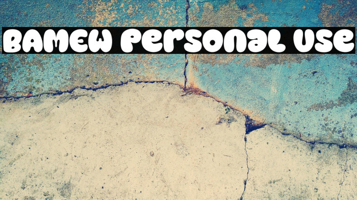 BAMEW Personal Use Example 2