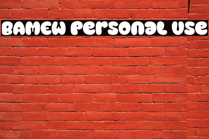 BAMEW Personal Use Example 3