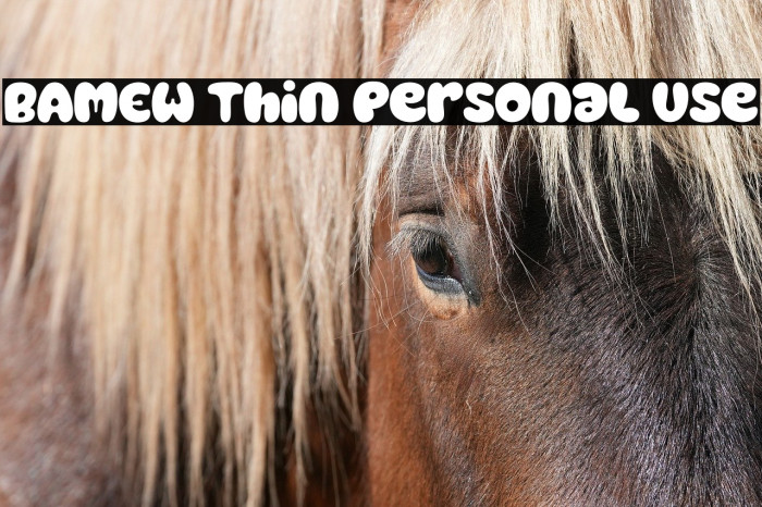 BAMEW Thin Personal Use Example 1
