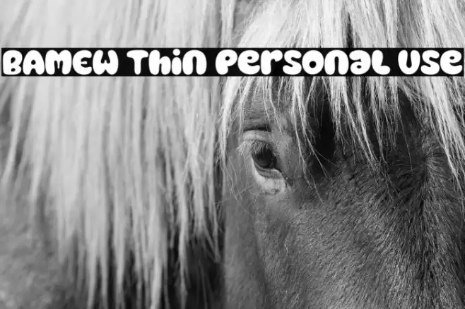 BAMEW Thin Personal Use Caratteri examples