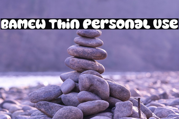 BAMEW Thin Personal Use Example 2