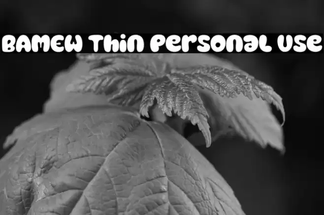 BAMEW Thin Personal Use Caratteri examples