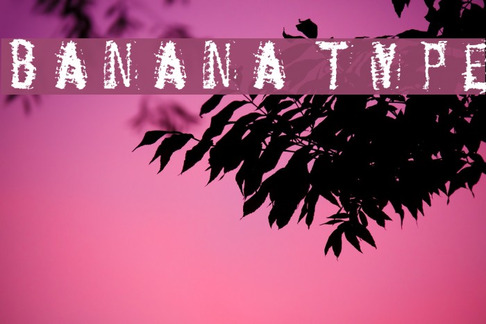 BANANA TYPE Font examples