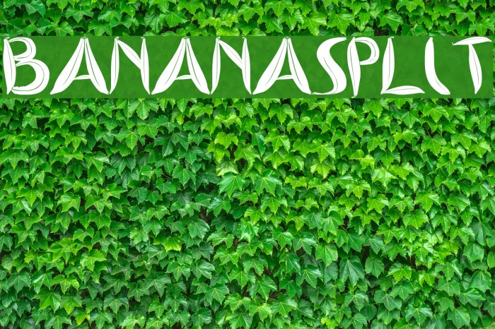 BANANASPLIT Font examples