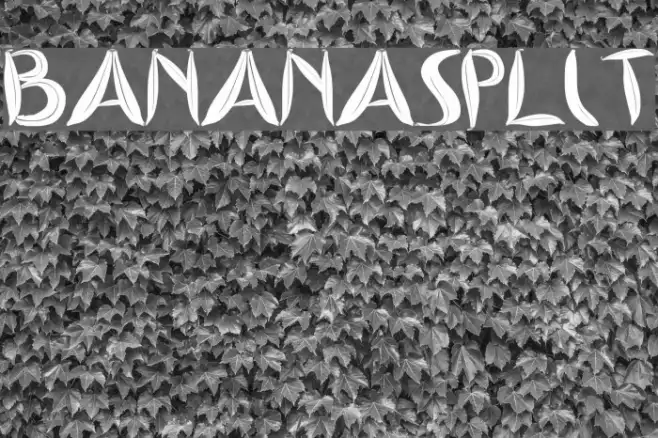 BANANASPLIT Example 1