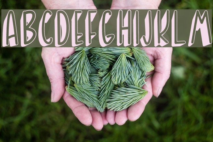 BANDA NEIRA Font examples