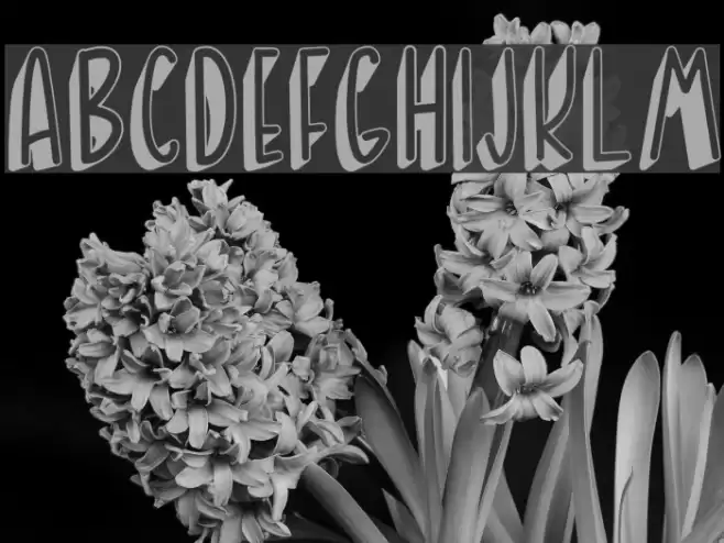 BANDA NEIRA Font examples