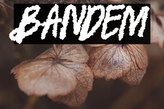 BANDEM Example 1