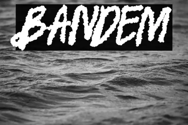 BANDEM Example 3