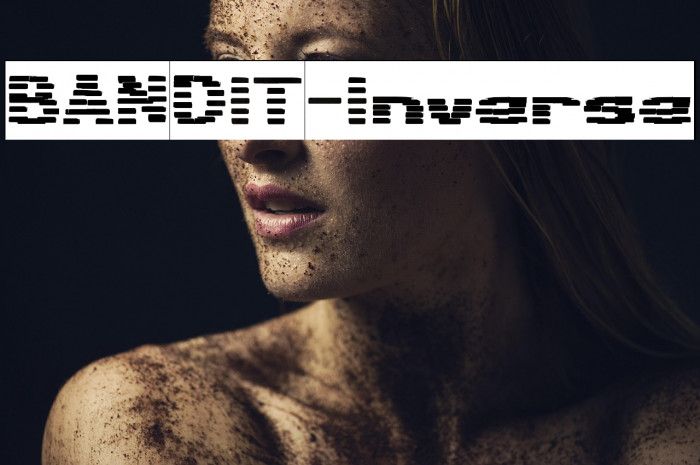 BANDIT-Inverse Example 1