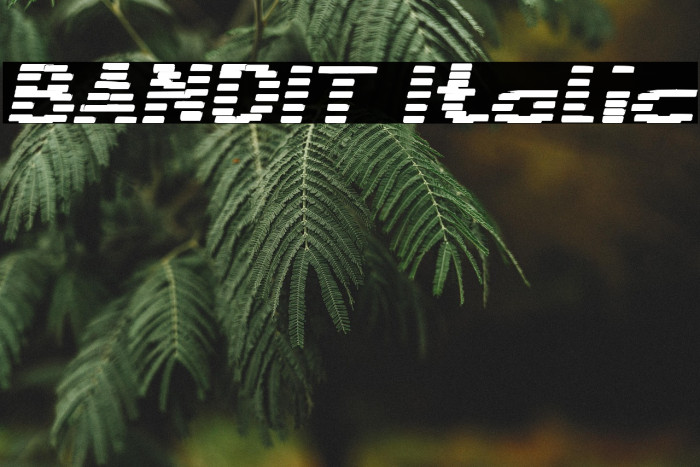 BANDIT Italic Example 3