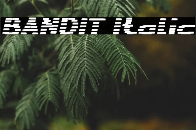 BANDIT Italic Example 3