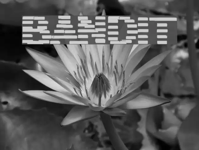 BANDIT Font examples